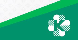 Центристская партия собрала за месяц пожертвования на сумму 70 000 евро