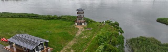 Таро об инциденте в Васкнарве: контрольная линия проходит там уже 30 лет