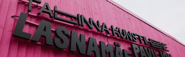 «Обнимай меня нежно»: новая выставка в Ласнамяэ учит терпимости друг к другу