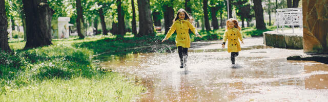 Ученые: Это лето не хуже нормы