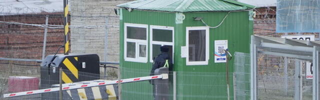 Попытка пронести через границу 600 евро обернулась штрафом в 400 евро: деньги обнаружила собака