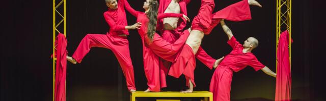 Музыкальный цирк развернется на сцене концертного зала