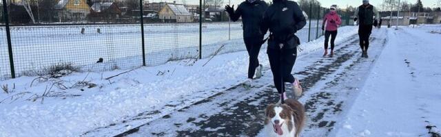 ФОТО: в Йыхви бежали елка, собака и олень