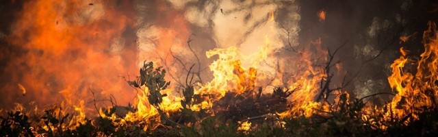 Дым от пожаров в Калифорнии скоро может повлиять на качество воздуха в Эстонии