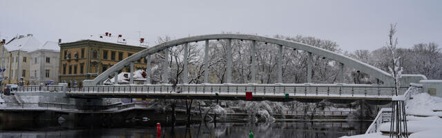 Прогноз погоды до 23 января: синоптики прогнозируют дожди и снегопады