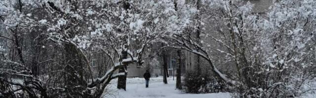 Елена Вальме: Нарве нужно привлекать к уборке снега в экстренных ситуациях безработных и «отработчиков»