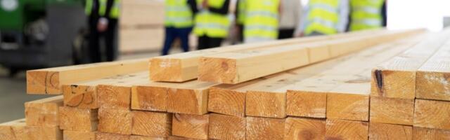 Руководитель обанкротившегося производителя домов должен возместить из своего кармана 100 000 евро