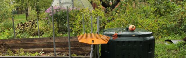 Город организует обучение по компостированию биоотходов