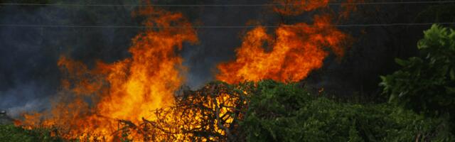 Ликвидация лесного пожара в Кукрузе может занять еще два дня