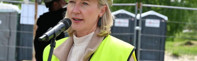 Таммур: Бесплатные места в детском саду и Йыулувана на самом деле существуют