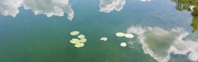 Департамент: купаться у "Русалки" – нельзя, на Штромке, в Мяннику и Маарду – можно