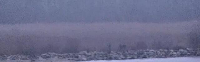 МИД Эстонии вызвал временного поверенного в делах РФ в связи с инцидентом в Васкнарве