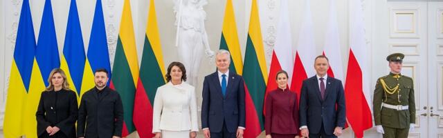 Президент Литвы: Украина должна стать членом ЕС до 2030 года