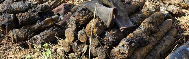 ФОТО: на Сырве за пару дней обнаружили несколько сотен взрывных устройств
