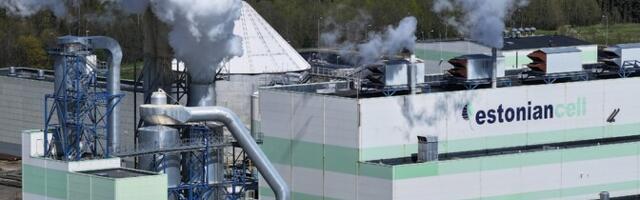 Estonian Cell приостанавливает производство на два месяца