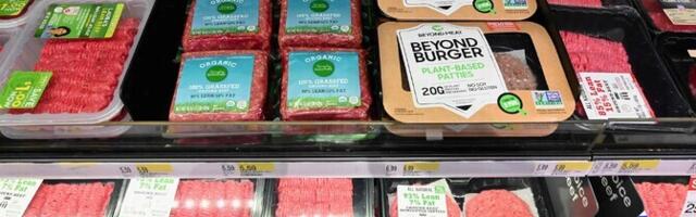 Ученый: в растительных аналогах мяса нередко содержится много соли и насыщенных жиров