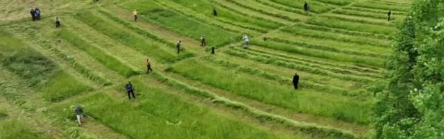 В Вырумаа в соревнованиях по ручному сенокошению приняли участие 30 человек