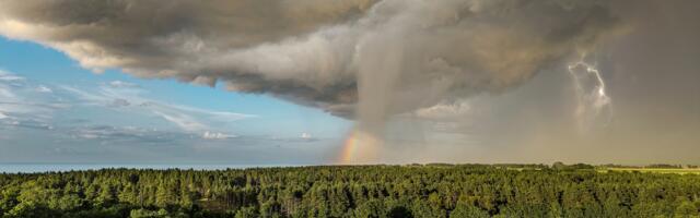 Сегодня по всей Эстонии объявлено грозовое предупреждение