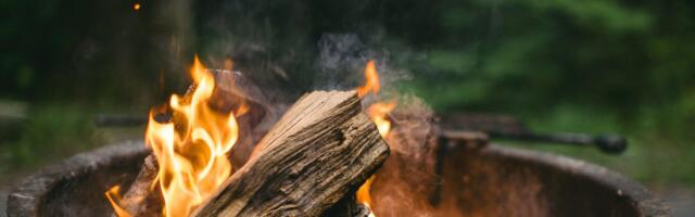 Летний сезон в самом разгаре! Но время отдыха и гриля требуют бдительности