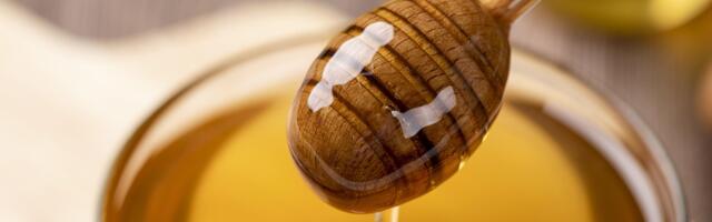 Пчеловоды: запасы отечественного меда закончатся в январе