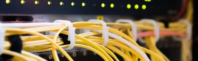 Госконтроль: без передачи данных государство сможет сохранить ключевые услуги