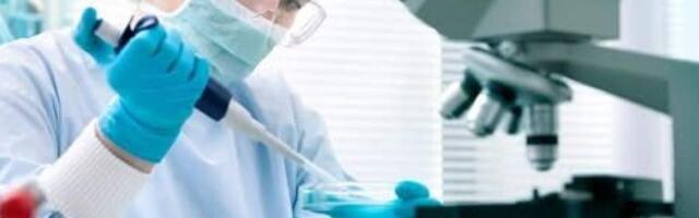 Два брата — одна ДНК: во Франции судят близнецов, но не могут определить стрелка