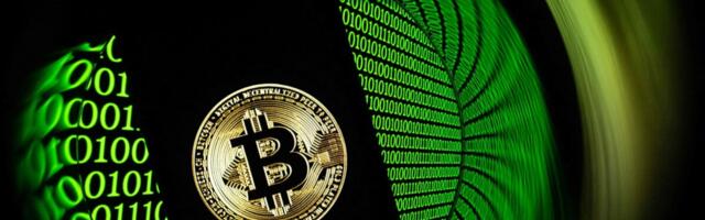 Биткоин терзают внутренние проблемы. Крипторынок упал до минимума с апреля