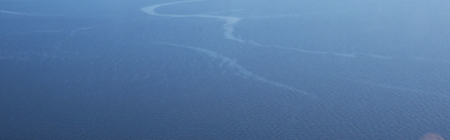 В Нарвском заливе в районе Тойла наблюдается загрязнение моря тяжелым топочным маслом. Его источник пока не обнаружен