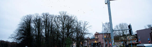 Спасательный департамент: во время тестирования системы оповещения все каналы сработали