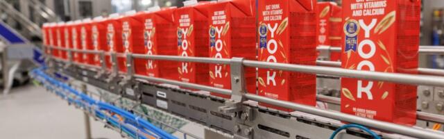 Yook предлагает инвесторам облигации под 11%