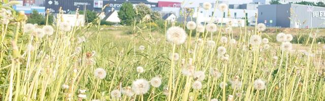 С октября по август: Нарва все еще не нашла нового оператора по уборке дорог и улиц