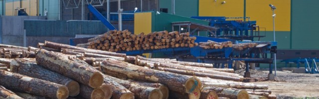 Деревообрабатывающее эстонское предприятие выходит на белорусский рынок