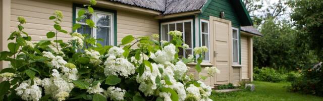 Инвестор Тоомас: дача – хорошая инвестиция или причина нашей бедности?