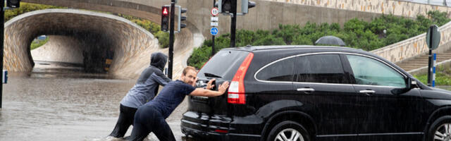 Агентство окружающей среды: 2025 год был одним из самых жарких в истории Эстонии