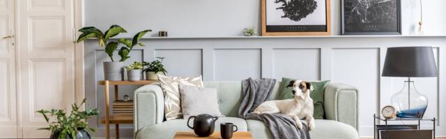 7 идей, как обновить интерьер, не потратив целое состояние