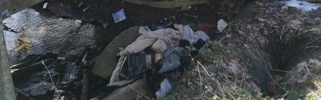 ФОТО | Горы мусора в реке Пирита ошарашили местных жителей