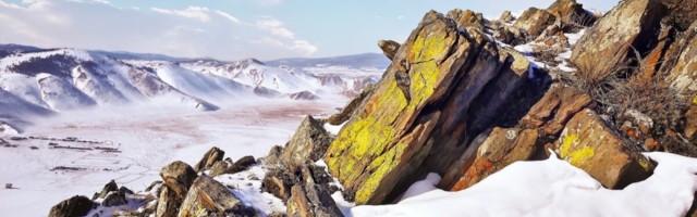 Ученые оживили червей после 24 тысяч лет в вечной мерзлоте в Сибири