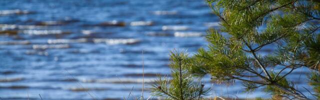 В ближайшие дни воздух в Эстонии прогреется до 28 градусов