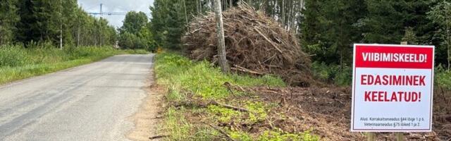 Руководитель свинофермы: хочется верить, что люди понимают серьезность ситуации