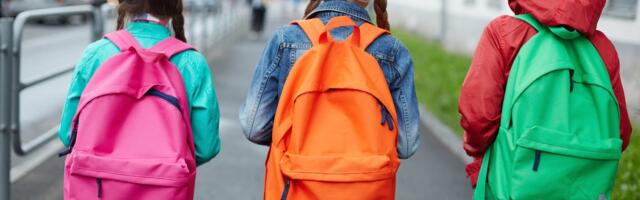 Департамент образования: в 17 школах Таллинна учебный процесс частично нарушен