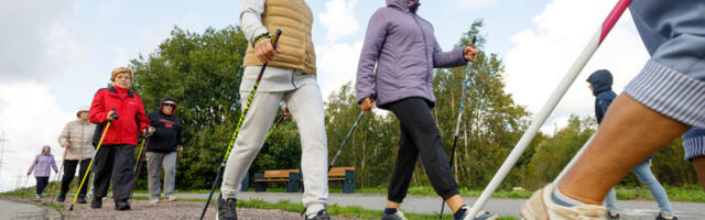 В Таллинне проходят бесплатные тренировки по скандинавской ходьбе для сениоров