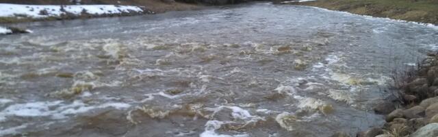 Большинство рек свободны ото льда