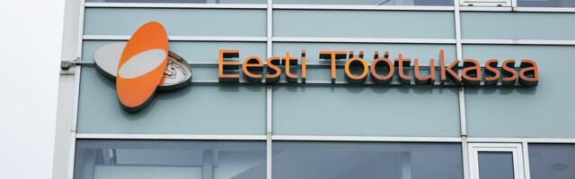 Без языка, образования и мотивации: почему в Нарве не удается снизить безработицу