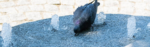 В Южной Европе от жары умерли несколько человек