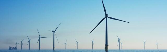 Роуэн Дин: мечтают ли птицы Северного моря о машущих косах?