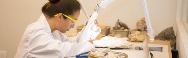 От стартапов до крупных промышленников: на прикладные исследования компаниям выделят 20 млн евро