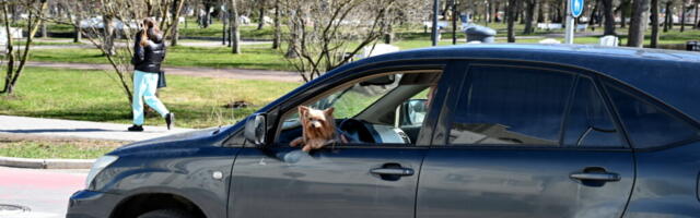 В Рийгикогу инициирован законопроект о смягчении автоналога в особых случаях