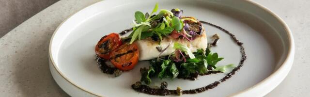 Таллиннская неделя ресторанов пройдёт в марте — что готовят в этом году