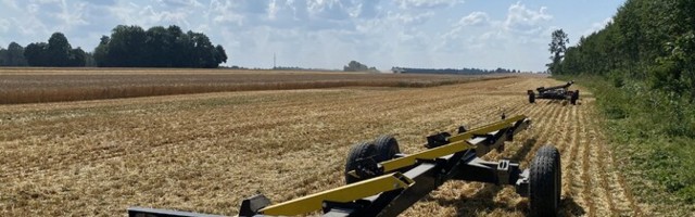 Урожай зерновых в Эстонии снизился из-за засушливого и жаркого лета
