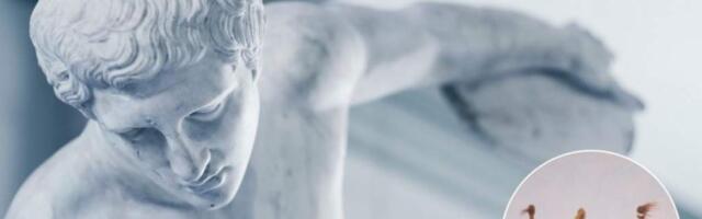 Проект Спорт + Арт в «Лужниках» — что это такое